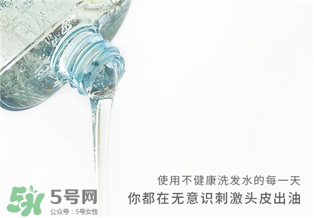 植觀洗發水多少錢?植觀洗發水價格是多少?