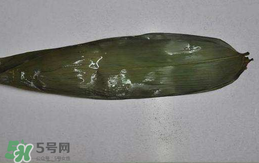 粽葉怎么曬干？粽葉怎么曬干不卷？