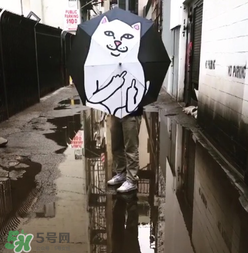 ripndip是什么牌子？ripndip是什么檔次？