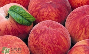 桃子和西瓜一起吃會中毒嗎？桃子和西瓜能一起吃嗎？