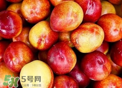 桃子的種類有哪些？哪種桃子最好吃？