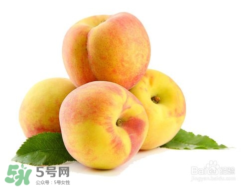 桃子的種類有哪些？哪種桃子最好吃？
