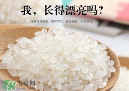 大米可以包粽子嗎？包粽子大米要泡多久？