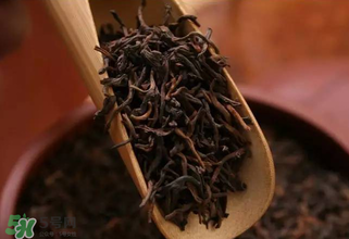 普洱茶能不能天天喝？天天喝普洱茶好嗎？