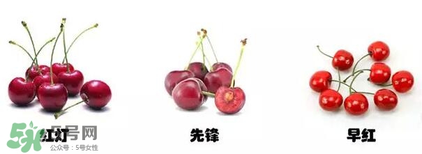 櫻桃和車(chē)?yán)遄佑惺裁磪^(qū)別？櫻桃和車(chē)?yán)遄幽膫€(gè)貴？