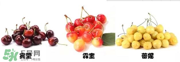 櫻桃和車(chē)?yán)遄佑惺裁磪^(qū)別？櫻桃和車(chē)?yán)遄幽膫€(gè)貴？