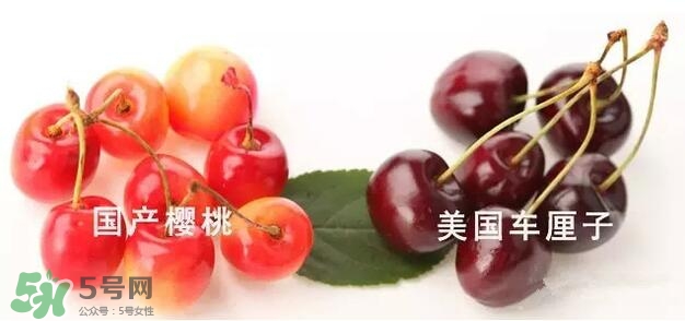 櫻桃和車(chē)?yán)遄佑惺裁磪^(qū)別？櫻桃和車(chē)?yán)遄幽膫€(gè)貴？