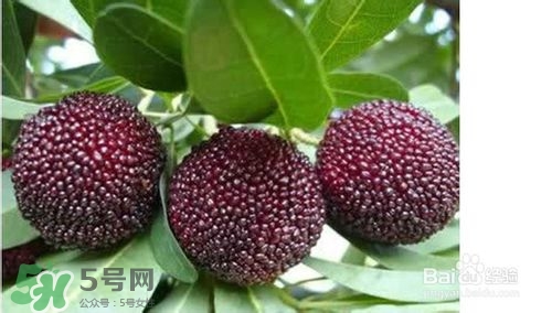 楊梅怎么吃好吃？楊梅怎么吃不酸？