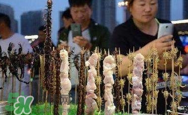 鱷魚肉價格多少錢一斤？吃鱷魚犯法嗎？
