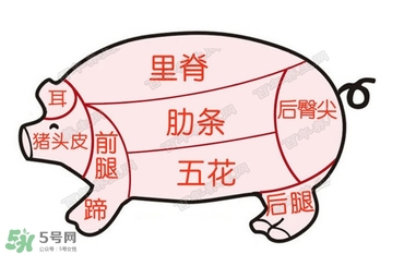 后臀尖多少錢一斤？豬后臀尖在哪？