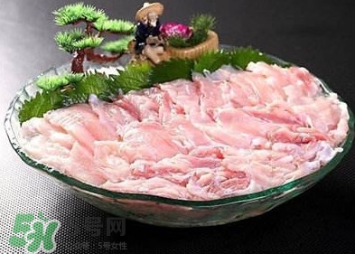 鱷魚肉是發(fā)物嗎？鱷魚肉是不是發(fā)物