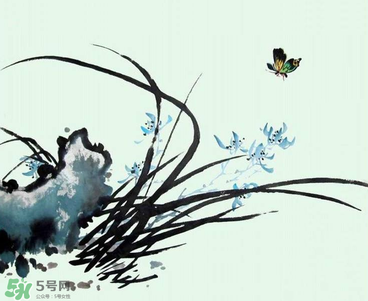 空谷幽蘭是什么書？空谷幽蘭講的是什么？