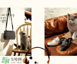 belle是什么牌子？百麗是哪個國家的品牌？