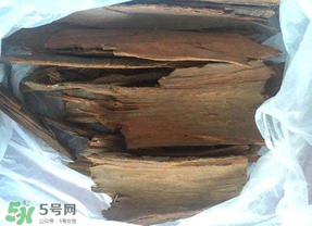 安哥拉樹皮能天天吃嗎？安哥拉樹皮天天吃可以嗎？