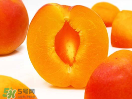杏子幾月成熟？杏子什么時(shí)候成熟？