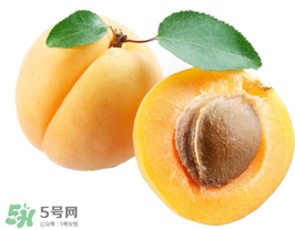 杏子幾月成熟？杏子什么時(shí)候成熟？