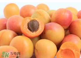 杏子一天吃幾個？杏子一次可以吃多少？