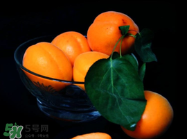 杏子可以和芒果一起吃嗎？吃完杏子可以吃芒果嗎？