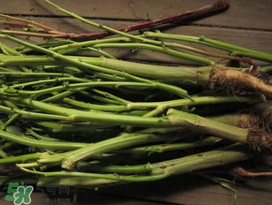 莧菜桿能吃嗎？莧菜桿子可以吃嗎？