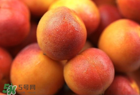 新鮮杏子可以放冰箱嗎？新鮮杏子怎么保存？