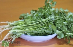 香菜是寒性食物嗎？香菜是熱性還是涼性？