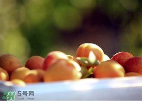 杏子好吃嗎？杏子可以多吃嗎？