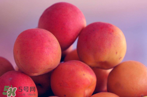 杏子好吃嗎？杏子可以多吃嗎？