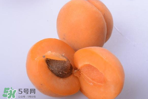 杏子好吃嗎？杏子可以多吃嗎？