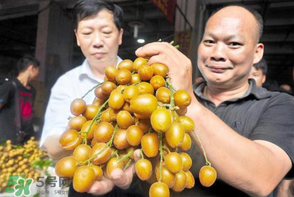 黃皮好吃嗎？黃皮是什么味道？