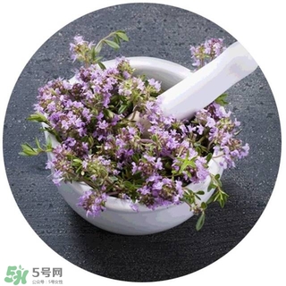 lululun plus面膜怎么樣？lululun plus面膜哪款好