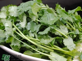 香菜是發物嗎？香菜是不是發物
