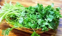 香菜是寒性食物嗎？香菜是熱性還是涼性？