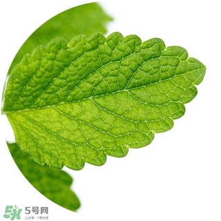 lululun plus面膜怎么樣？lululun plus面膜哪款好