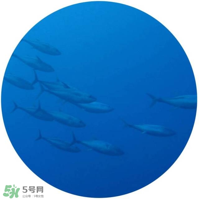 lululun plus面膜怎么樣？lululun plus面膜哪款好