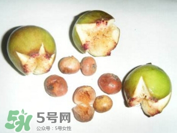 野地瓜滕熬水吃能治療什么病？野地瓜怎么吃