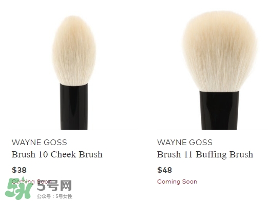 wayne goss是什么牌子？wayne goss化妝刷怎么樣？