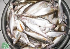 翹殼是什么魚？翹殼魚多少錢一斤2017？
