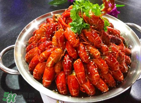 油燜大蝦吃哪些部位？怎么正確吃油燜大蝦？