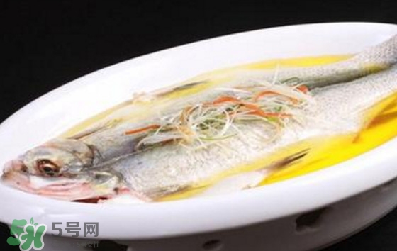 孕婦可以吃白條魚嗎？白條魚孕婦能吃嗎？