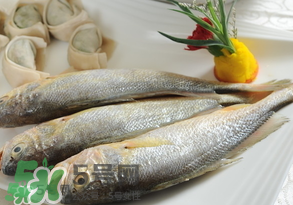 黃魚多少錢一斤？黃魚多少錢一斤2017？