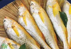 小黃魚長大后會(huì)不會(huì)變成大黃魚？