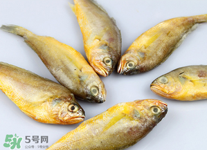 小黃魚不能和什么一起吃？小黃魚和什么相克？