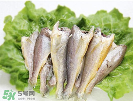 小黃魚可以養殖嗎？小黃魚能人工養殖嗎？