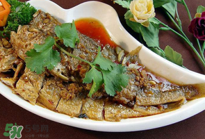 小黃魚可以養殖嗎？小黃魚能人工養殖嗎？