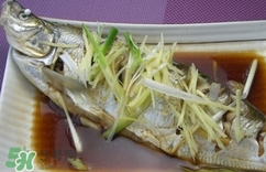 白條魚(yú)多少錢(qián)一斤2017？野生白條魚(yú)多少錢(qián)一斤