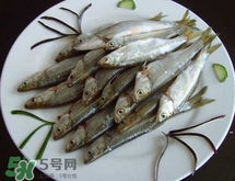 白條魚(yú)多少錢(qián)一斤2017？野生白條魚(yú)多少錢(qián)一斤