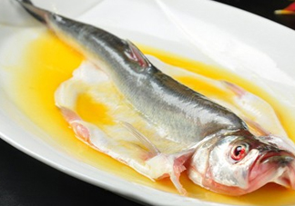 白條魚能長多大？白條魚可以長多大？