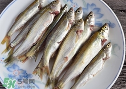 孕婦可以吃白條魚嗎？白條魚孕婦能吃嗎？