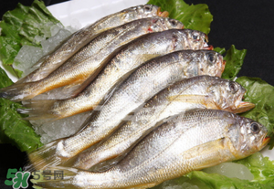小黃魚不能和什么一起吃？小黃魚和什么相克？