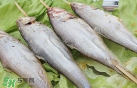 馬口魚怎么釣？馬口魚什么時候釣最好